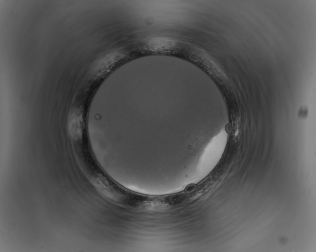 X0000100310644200807031147