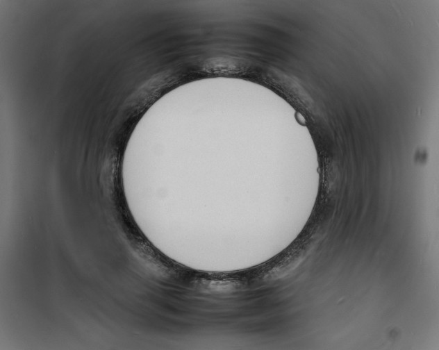X0000100310645200807031147