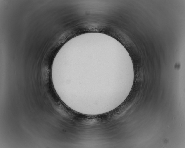 X0000100310646200807031148