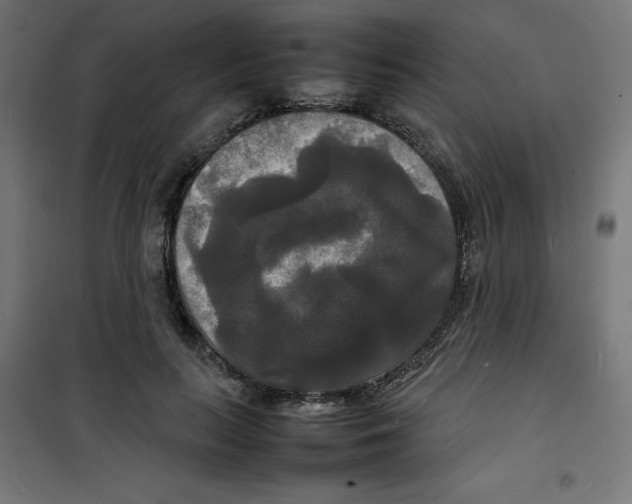 X0000100310647200807031148