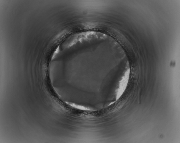 X0000100310648200807031148