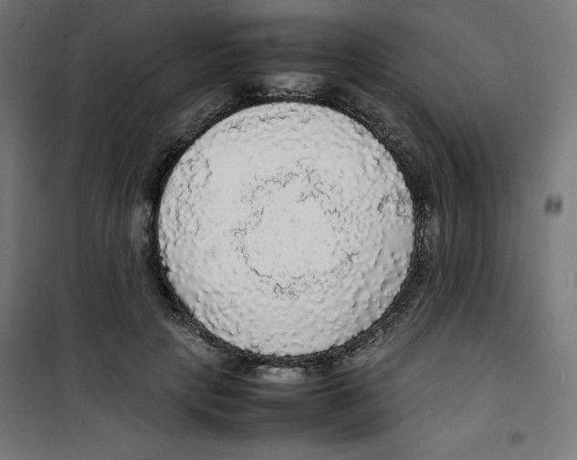 X0000100310649200807031148
