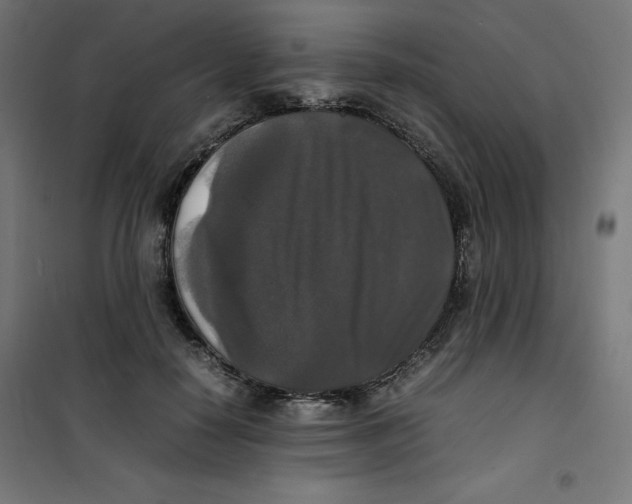 X0000100310650200807031148