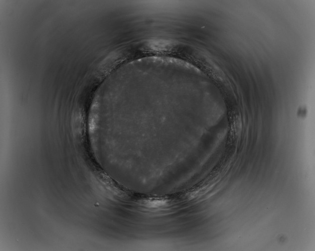 X0000100310651200807031148