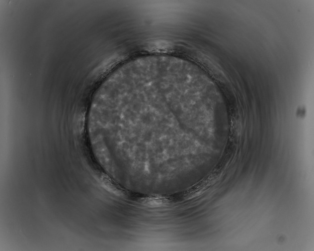 X0000100310652200807031148