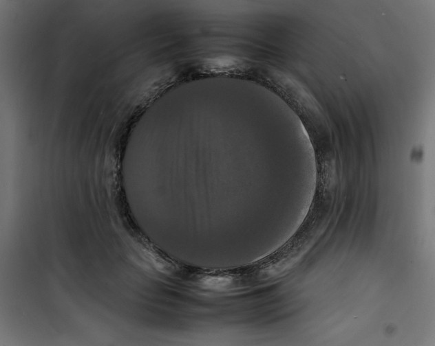 X0000100310653200807031148