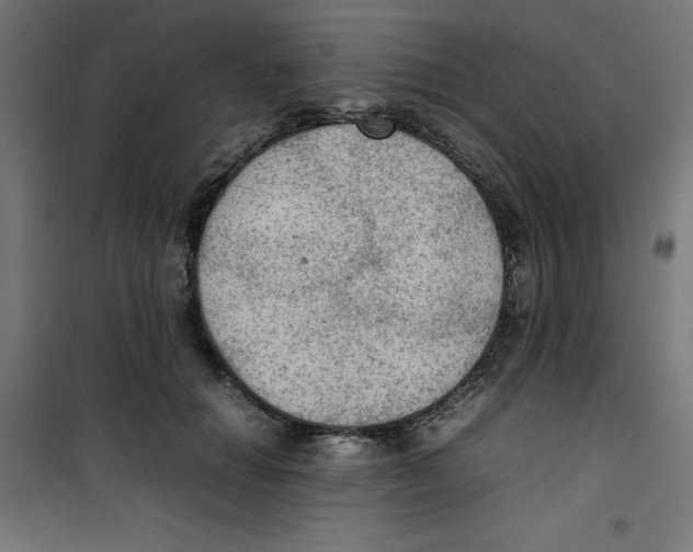 X0000100310654200807031148