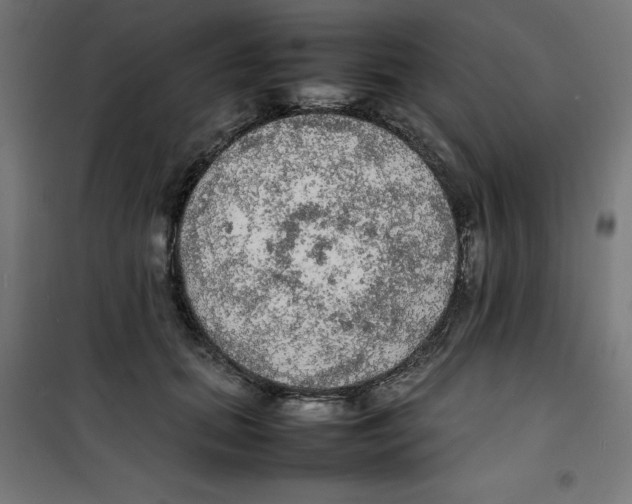 X0000100310655200807031148