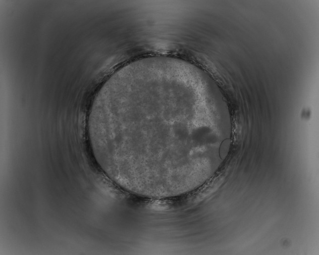 X0000100310656200807031148