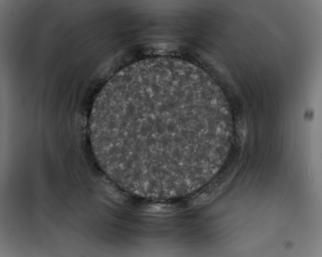 X0000100310657200807031148