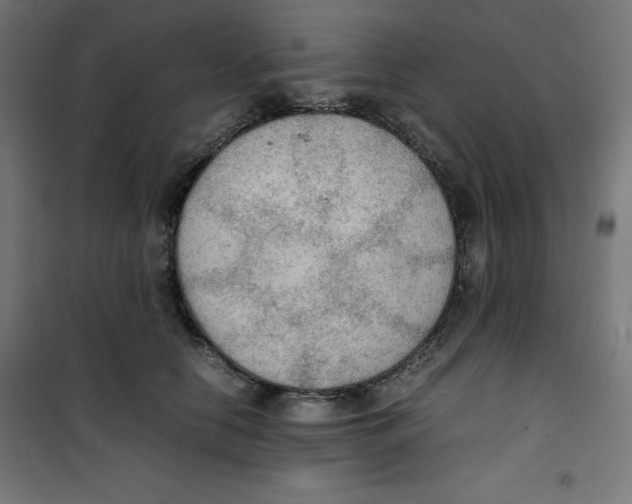 X0000100310658200807031148