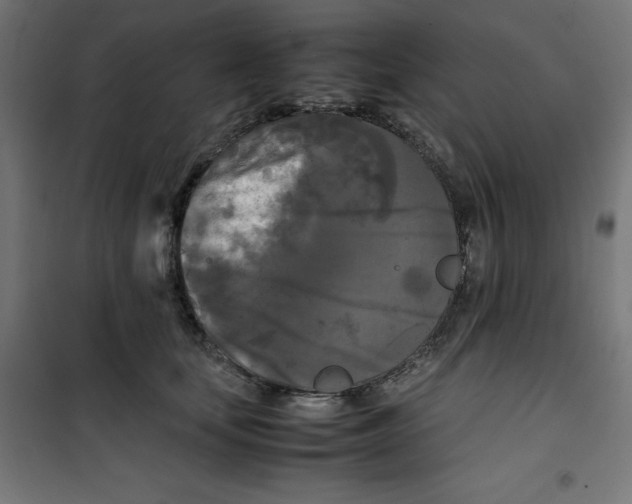 X0000100310659200807031148