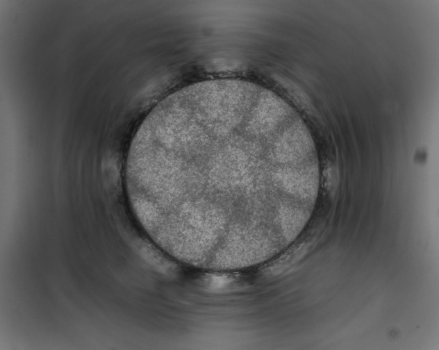 X0000100310662200807031148