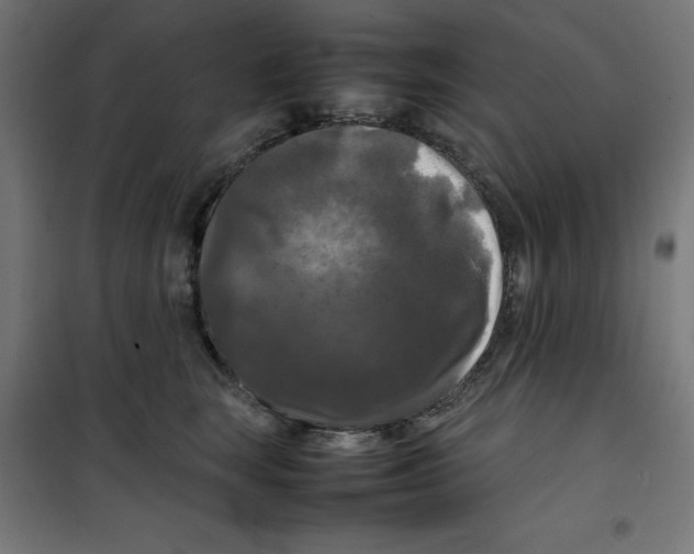 X0000100310663200807031148