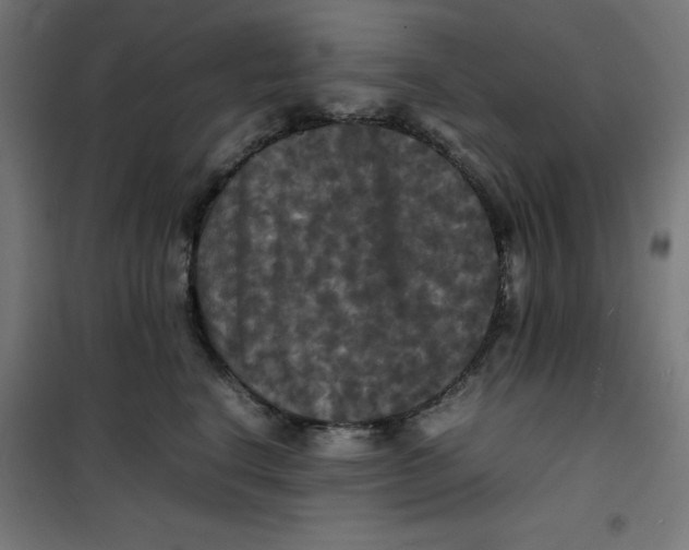 X0000100310664200807031148