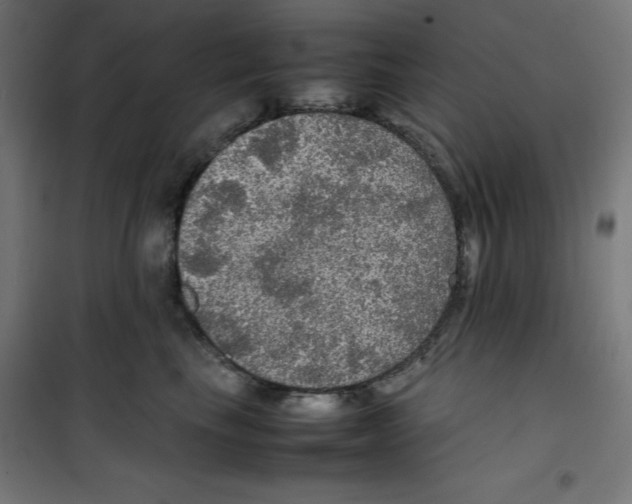 X0000100310665200807031148