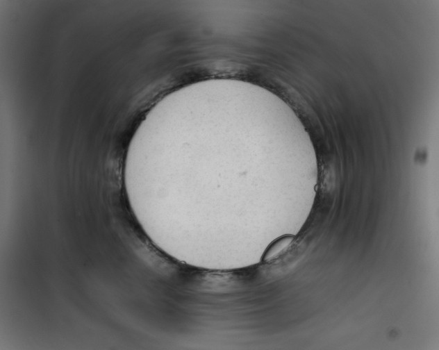 X0000100310666200807031148