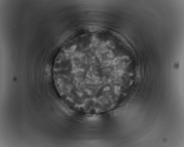 X0000100310667200807031148