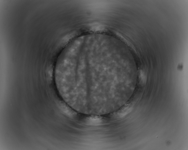X0000100310668200807031148