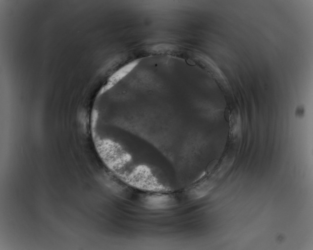 X0000100310669200807031148