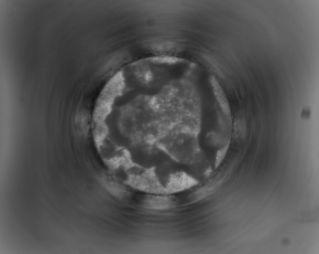 X0000100310671200807031148