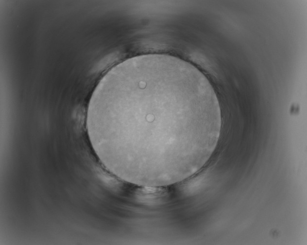 X0000100310672200807031148