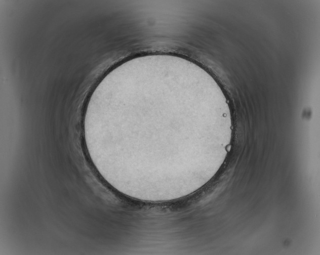 X0000100310673200807031147