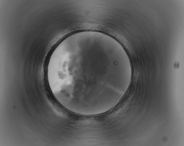 X0000100310674200807031147