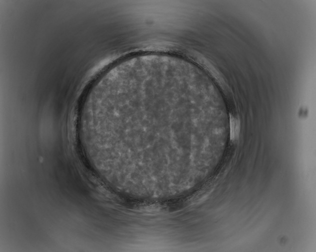X0000100310675200807031147