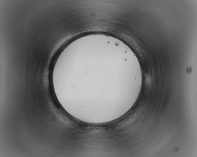 X0000100310676200807031147