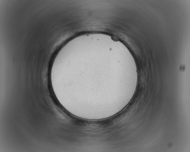 X0000100310677200807031147
