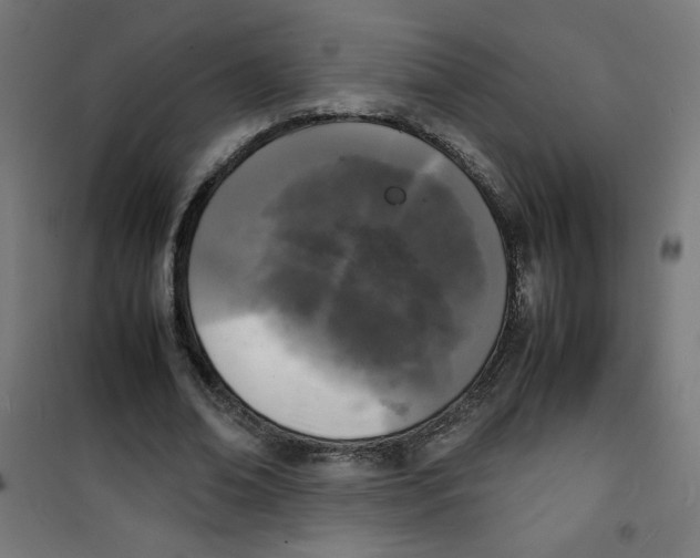 X0000100310678200807031147