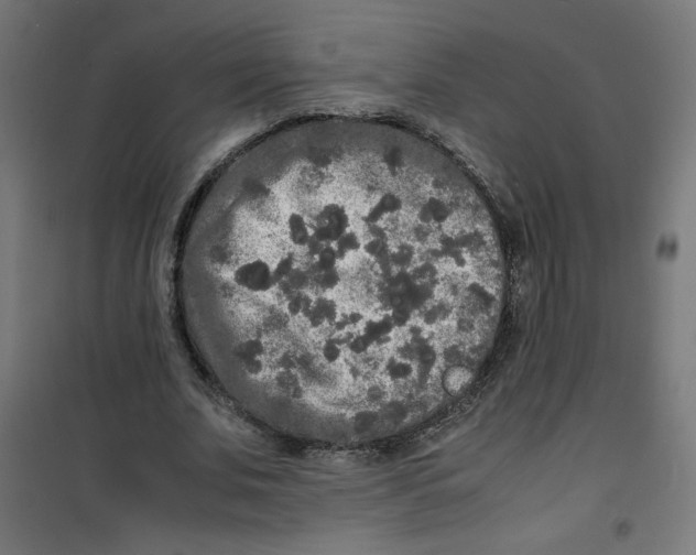 X0000100310679200807031147