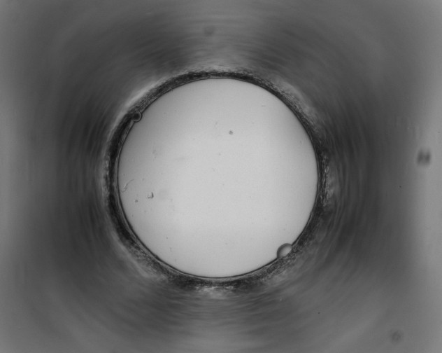 X0000100310680200807031147