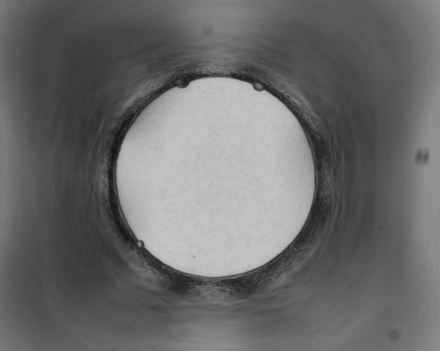 X0000100310681200807031147