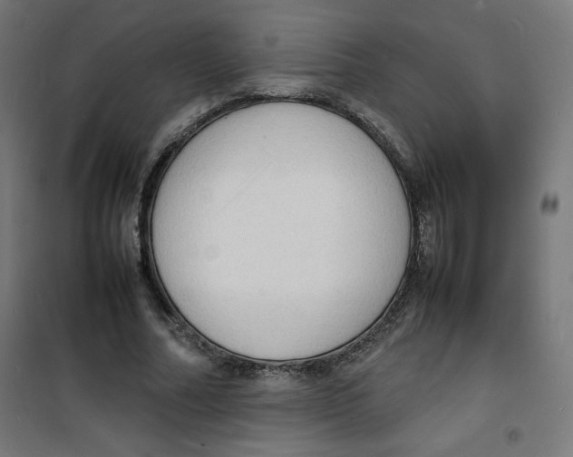 X0000100310682200807031147