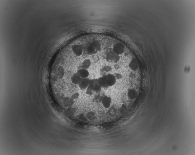 X0000100310683200807031147