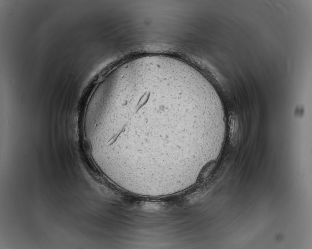X0000100310684200807031147