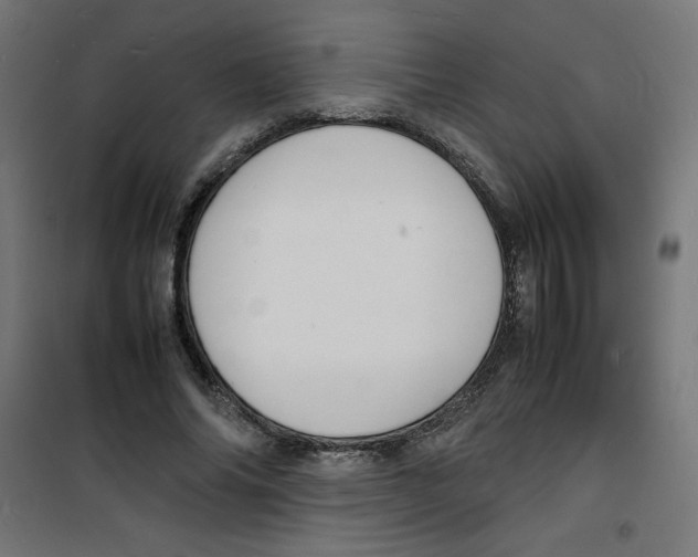 X0000100310686200807031147