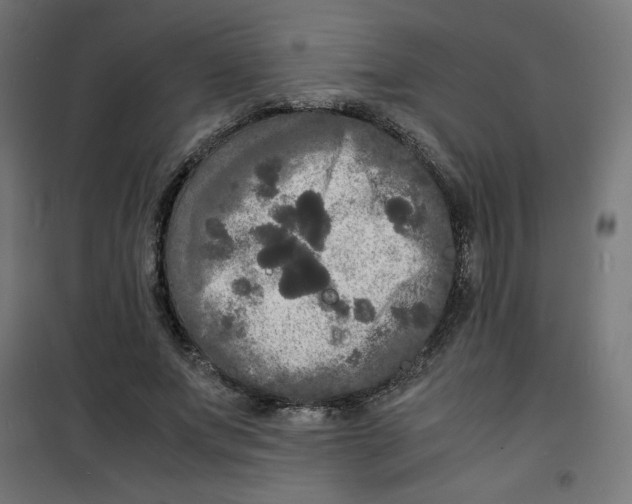 X0000100310687200807031147