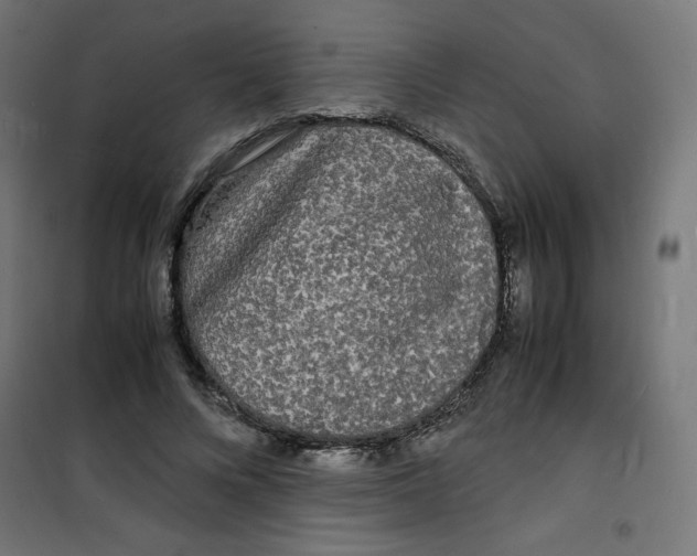 X0000100310688200807031147