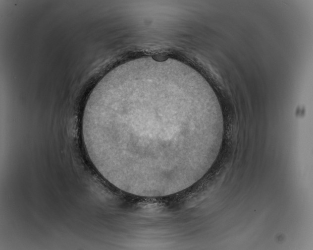 X0000100310689200807031147