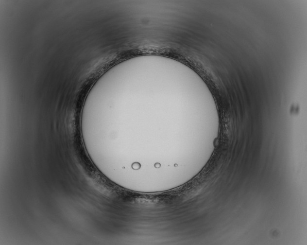 X0000100310690200807031147