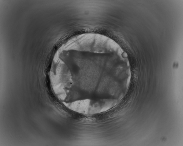X0000100310691200807031147