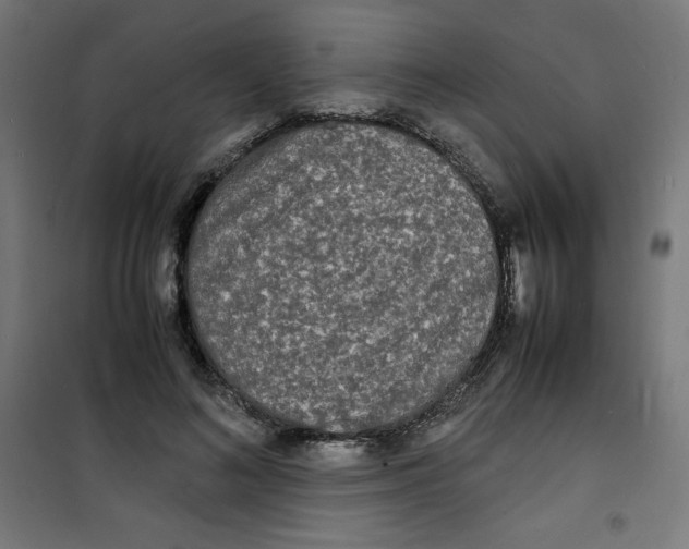 X0000100310692200807031147