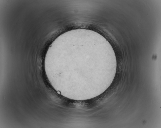 X0000100310693200807031147