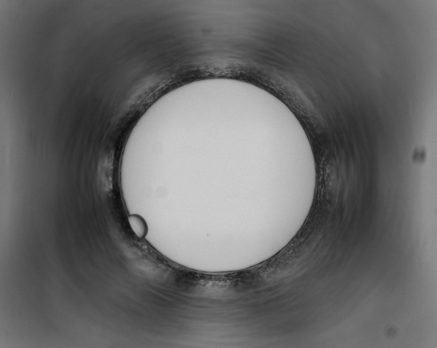 X0000100310694200807031147