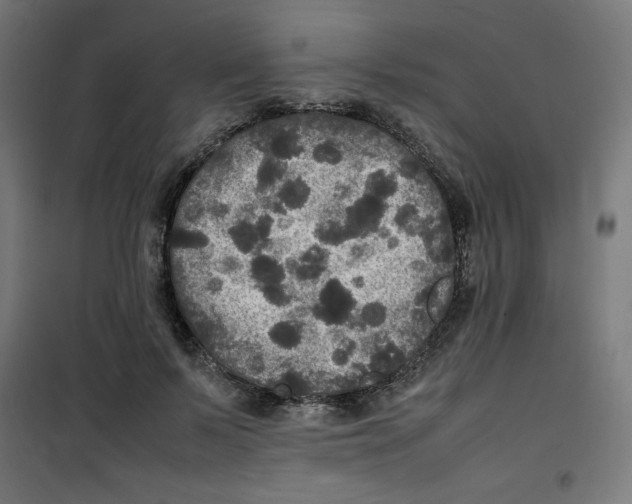 X0000100310695200807031147