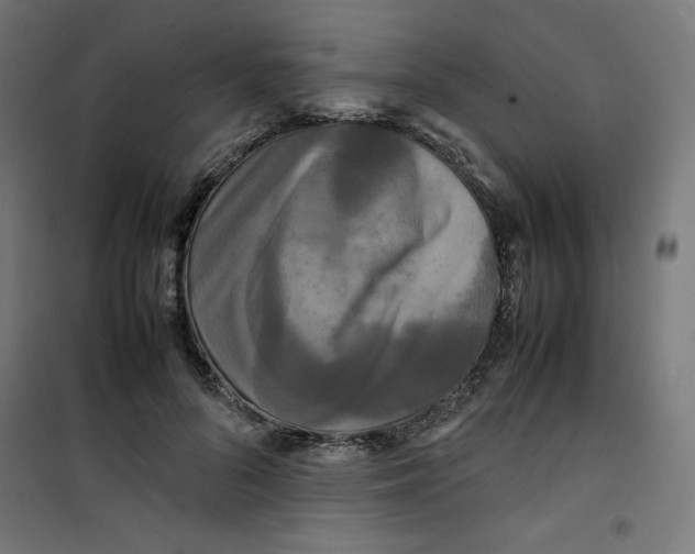X0000100310696200807031147