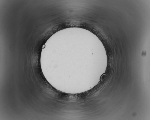 X0000100310697200807031147